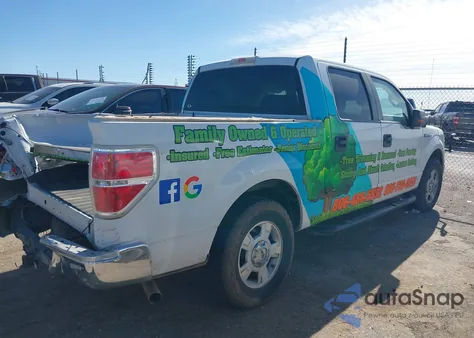 2009 Ford F-150 King Ranch/Lariat/Platinum/Xl/Xlt z USA, uszkodzony, nr VIN 1FTPW12V49FA61311